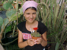 Alexandrine à Tenerife