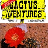 Mag22  ÉPUISÉ / out of stock PDF Gratuit ici - free here:   Cactus-Aventures 22